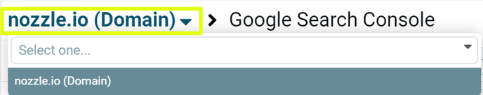 Nozzle GSC dashboard change domain property