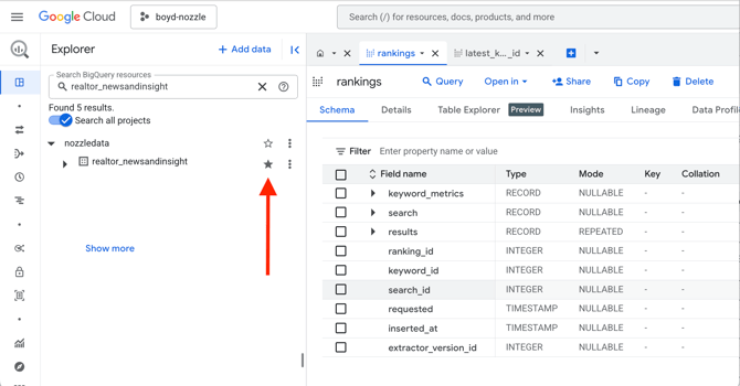 starring a nozzle data set in BigQuery